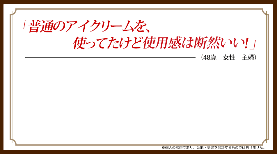 「アイクリームでは物足りないところをしっかり満たす魔法のアイテムです」